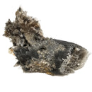 Black Dogtooth Calcite - Mineral Specimen