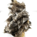 Black Dogtooth Calcite - Mineral Specimen