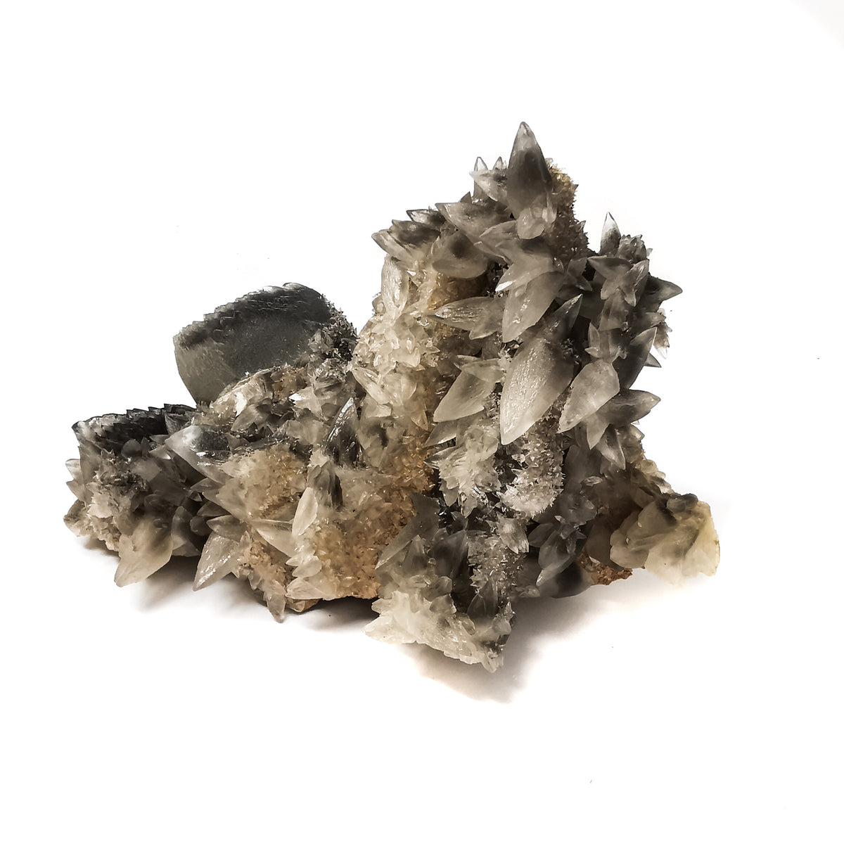 Black Dogtooth Calcite - Specimen