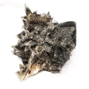 Black Dogtooth Calcite - Mineral Specimen