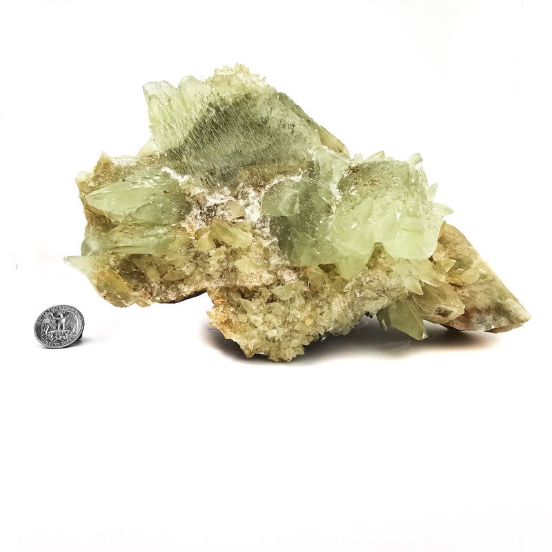 狗齒方解石綠 - 礦物標本