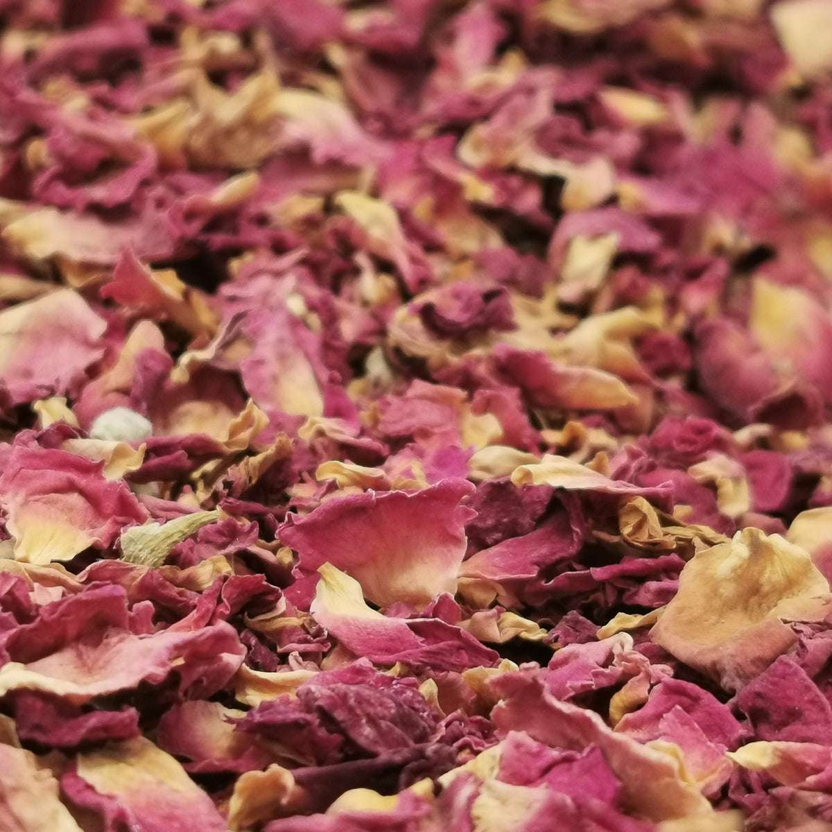 Dried Rose Petals.