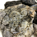 Dumortierite - Rough