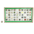 50 pieces - Mineral Set