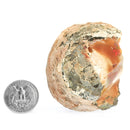 Ethiopian Opal - Mineral Specimen