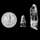 法登石英 - 矿物