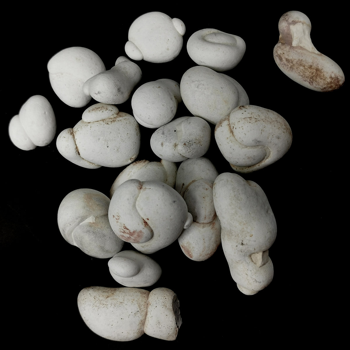 Menilite fairy stone from Morocco – scattered group
