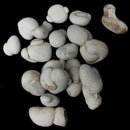 Menilite - Fairy Stone Concretion- Raw