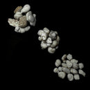 Menilite - Fairy Stone Concretion- Raw