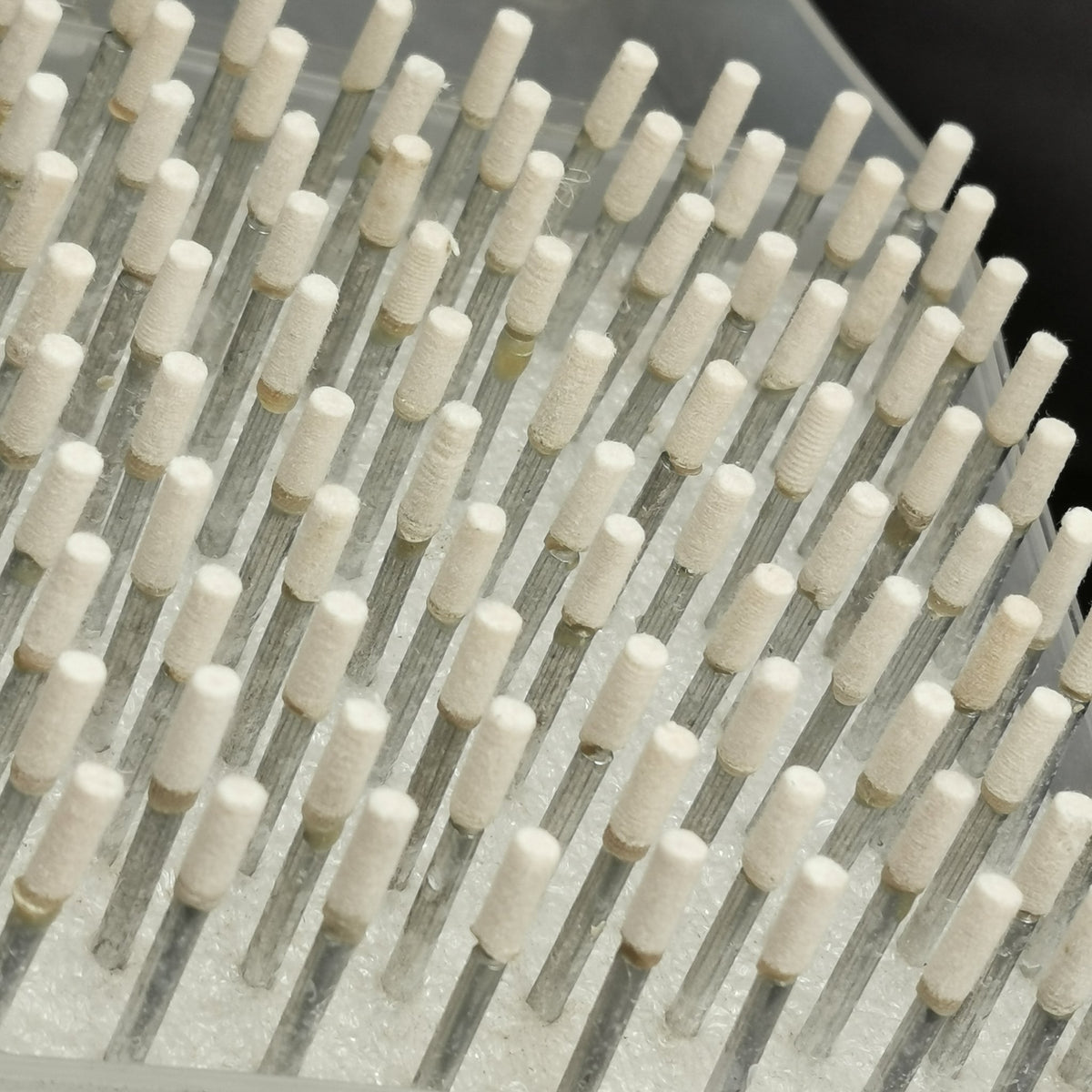 Cylinder Point hard pressed felt 100pcs.