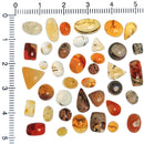 Fire Opal - Cabochon