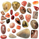 Fire Opal - Cabochon