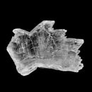 Fish Tail Selenite - Mineral