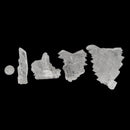 Fish Tail Selenite - Mineral