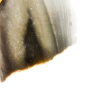 Georgetown Flint Striker - Raw