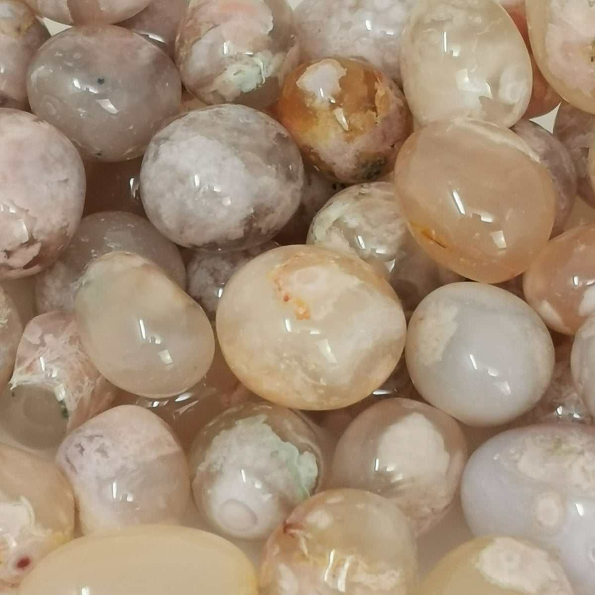 Flower Agate tumble, a variety of chalcedony, from Madagascar.