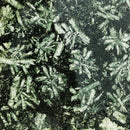 花石又名斑岩碧玉 - 粗糙