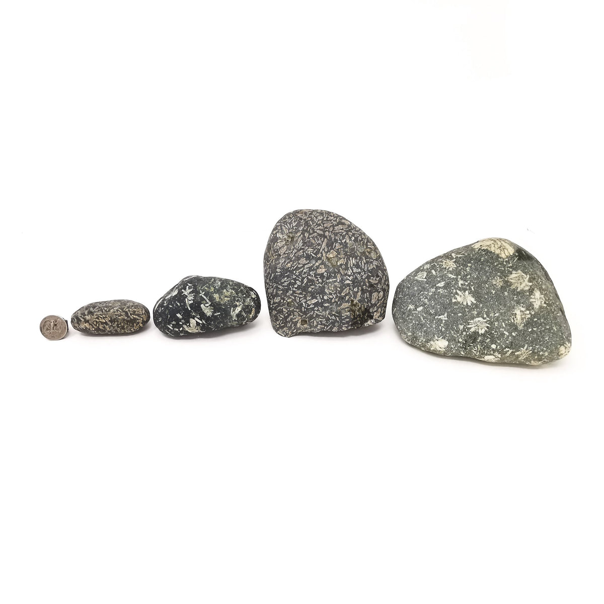 Flower Stone aka Porphyry Jasper rough.