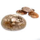 Flower Agate - Palm Stone