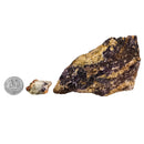 Colorado Springs Fluorite - Rough