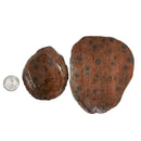 Fraser River Rhyolite - Rough