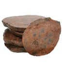 Fraser River Rhyolite - Rough