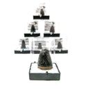 鳄鱼牙齿 - 化石