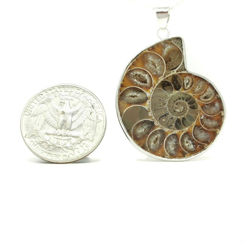 Ammonite - Pendant