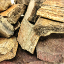 Alberta Dinosaur Bone Chunk - Fossil