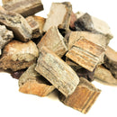 Alberta Dinosaur Bone Chunk - Fossil