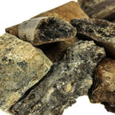 Alberta Dinosaur Bone Chunk - Fossil