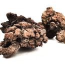 Dino Poop - Coprolite - Fossil