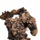 Dino Poop - Coprolite - Fossil