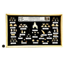 化石展示套装 - 大号