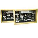 Fossil Display Set - Small