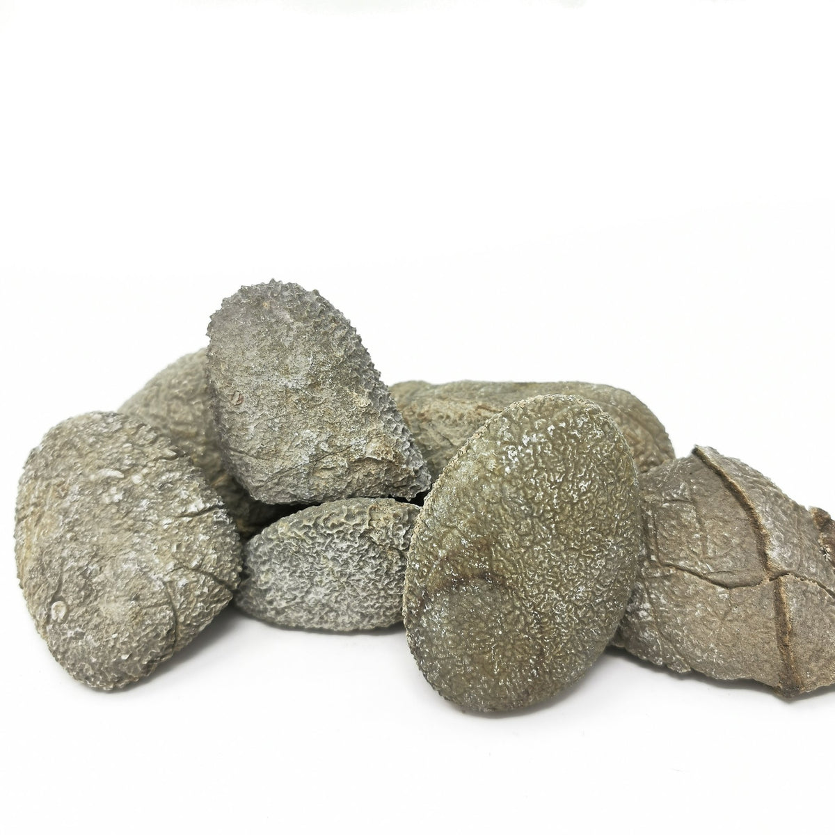 Etched limestone specimen from the USA – cobbles, side view