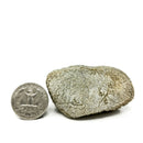 Etched Limestone - Mineral