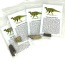 鴨嘴龍骨頭 - 化石