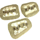 沧龙下颌骨矩阵 - 化石