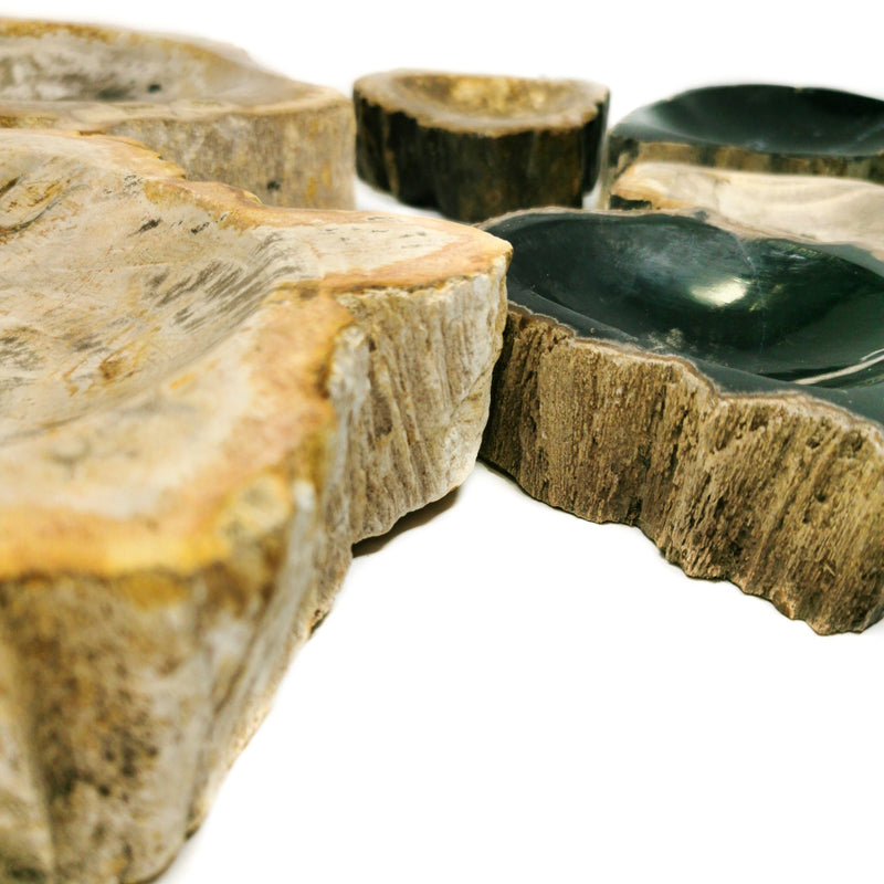 矽化木碗 - 化石