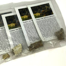 Bone w Predation Bite Marks - Fossil