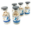 瓶子里的鲨鱼牙齿 - 化石