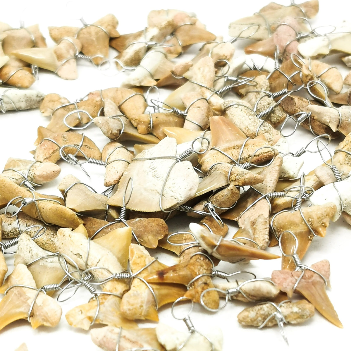 Fossil shark tooth pendant – close-up of pile