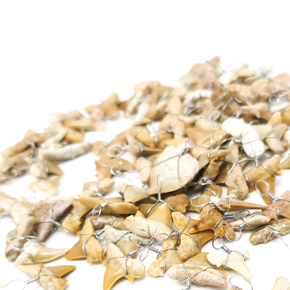 Fossil shark tooth pendant – pile of pendants