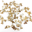 鲨鱼牙齿化石 - 吊坠