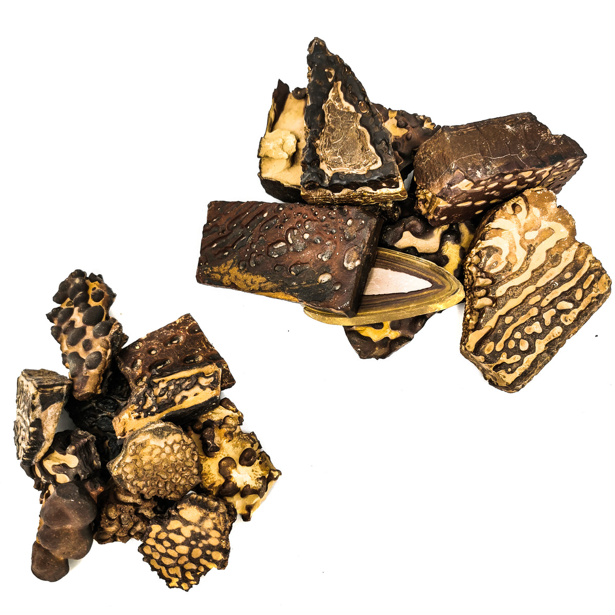 Stromatolite fossil from Morocco.