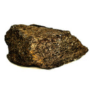 三角龙褶边 - 化石