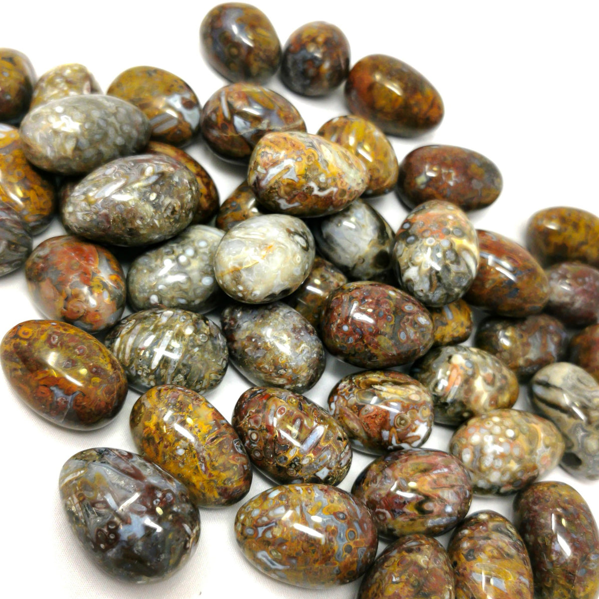 Stromatolite tumble fossil from Indonesia.