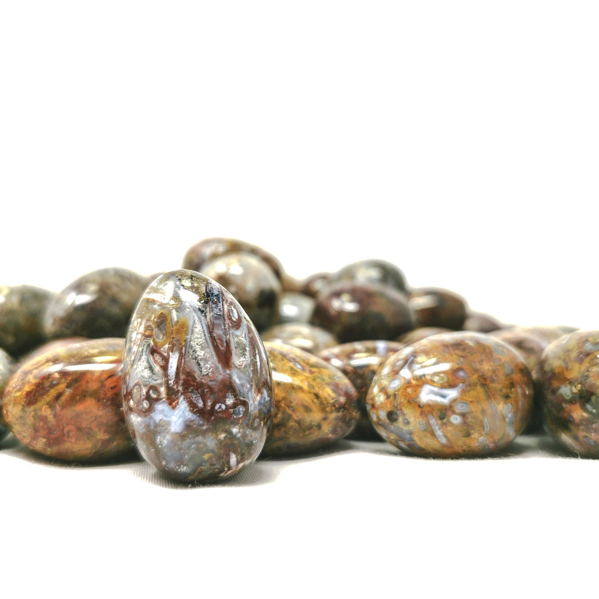 Stromatolite tumble fossil from Indonesia.