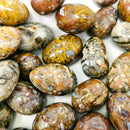 Stromatolite - Tumble